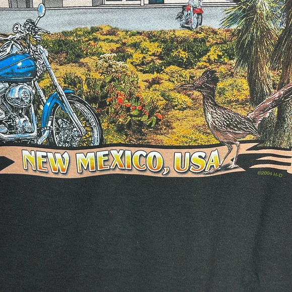 Harley Davidson Men’s T-Shirt, Brother Ride,2008 Sz- 2X - Picture 8 of 12